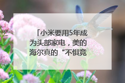小米要用5年成为头部家电，美的海尔真的“不惧竞争”？｜热财经