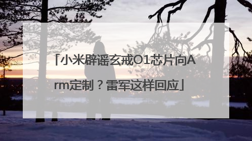 小米辟谣玄戒O1芯片向Arm定制？雷军这样回应