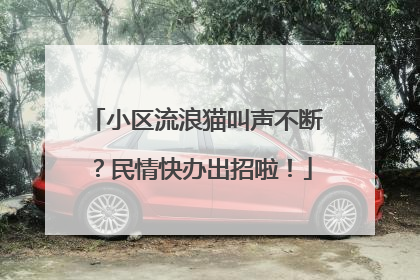 小区流浪猫叫声不断？民情快办出招啦！