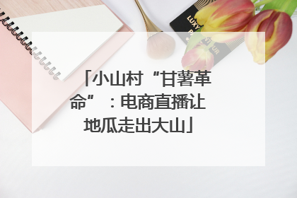 小山村“甘薯革命”：电商直播让地瓜走出大山