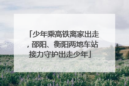 少年乘高铁离家出走，邵阳、衡阳两地车站接力守护出走少年