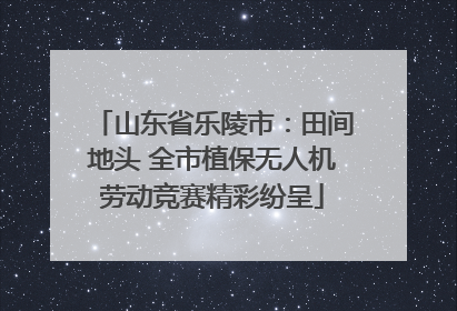 山东省乐陵市：田间地头 全市植保无人机劳动竞赛精彩纷呈