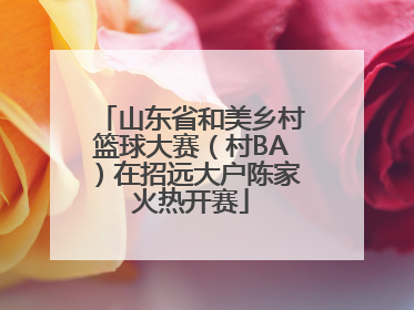 山东省和美乡村篮球大赛（村BA）在招远大户陈家火热开赛