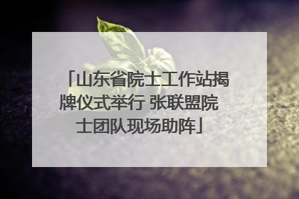 山东省院士工作站揭牌仪式举行 张联盟院士团队现场助阵