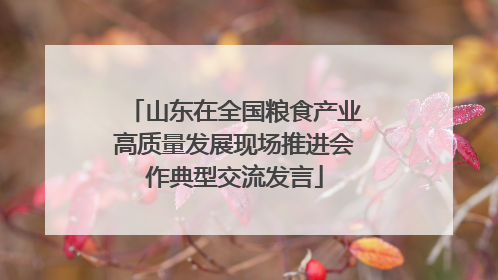 山东在全国粮食产业高质量发展现场推进会作典型交流发言