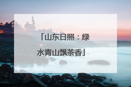 山东日照：绿水青山飘茶香
