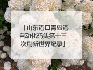 山东港口青岛港自动化码头第十三次刷新世界纪录