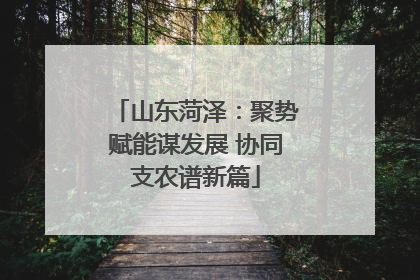 山东菏泽：聚势赋能谋发展 协同支农谱新篇