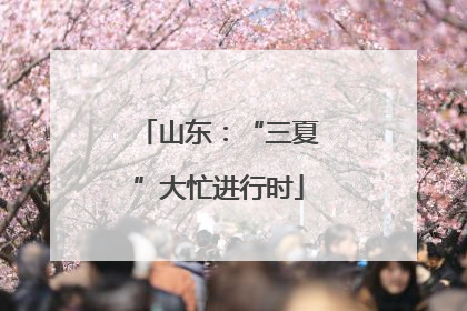 山东：“三夏”大忙进行时