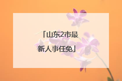 山东2市最新人事任免
