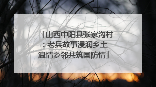 山西中阳县张家沟村：老兵故事浸润乡土 温情乡邻共筑国防情