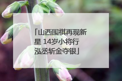 山西围棋再现新星 14岁小将行泓丞斩金夺银