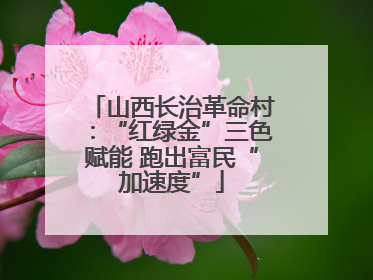 山西长治革命村：“红绿金”三色赋能 跑出富民“加速度”