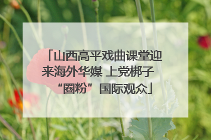 山西高平戏曲课堂迎来海外华媒 上党梆子“圈粉”国际观众