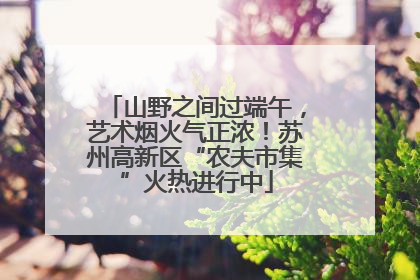 山野之间过端午，艺术烟火气正浓！苏州高新区“农夫市集”火热进行中