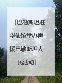 巴勒斯坦驻华使馆举办声援巴勒斯坦人民活动