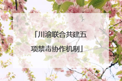 川渝联合共建五项禁毒协作机制