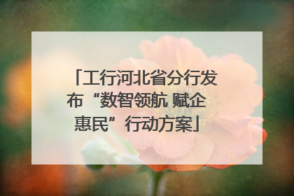 工行河北省分行发布“数智领航 赋企惠民”行动方案