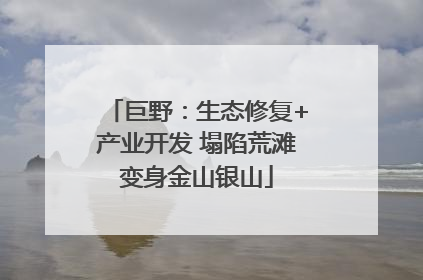 巨野：生态修复+产业开发 塌陷荒滩变身金山银山