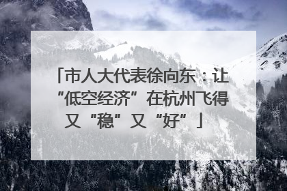 市人大代表徐向东：让“低空经济”在杭州飞得又“稳”又“好”