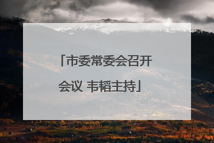 市委常委会召开会议 韦韬主持