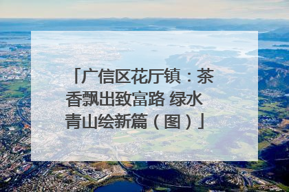广信区花厅镇：茶香飘出致富路 绿水青山绘新篇（图）