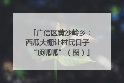 广信区黄沙岭乡：西瓜大棚让村民日子“顶呱呱”（图）