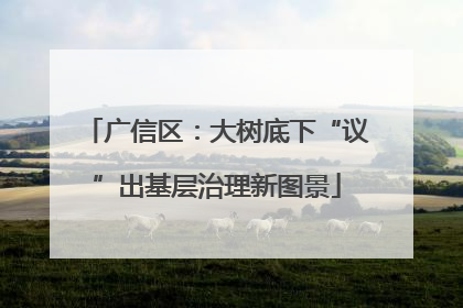 广信区：大树底下“议”出基层治理新图景