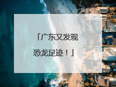 广东又发现恐龙足迹！
