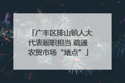 广丰区排山镇人大代表履职担当 疏通农贸市场“堵点”