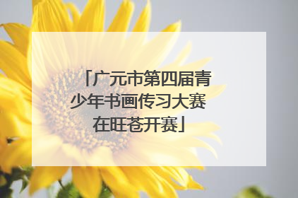 广元市第四届青少年书画传习大赛在旺苍开赛
