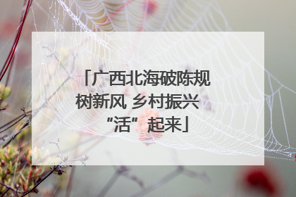 广西北海破陈规树新风 乡村振兴“活”起来