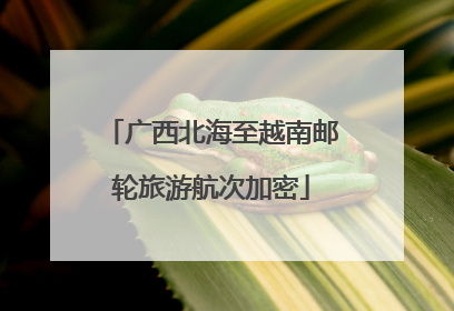 广西北海至越南邮轮旅游航次加密