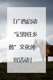广西启动“记得住乡愁”文化外宣活动