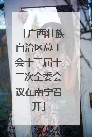 广西壮族自治区总工会十三届十二次全委会议在南宁召开