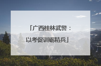 广西桂林武警：以考促训砺精兵