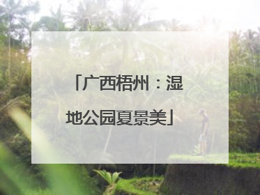 广西梧州：湿地公园夏景美