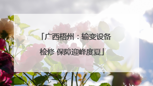 广西梧州：输变设备检修 保障迎峰度夏