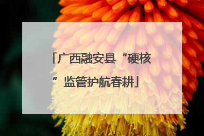 广西融安县“硬核”监管护航春耕