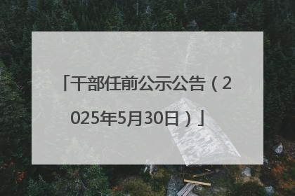 干部任前公示公告（2025年5月30日）