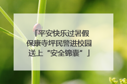 平安快乐过暑假 保康寺坪民警进校园送上“安全锦囊”
