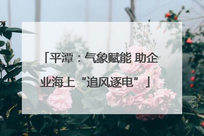 平潭：气象赋能 助企业海上“追风逐电”