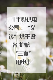 平舆供电公司：“义诊”烘干设备 护航 “三夏” 用电