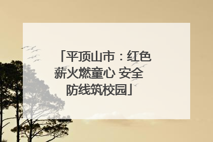 平顶山市：红色薪火燃童心 安全防线筑校园