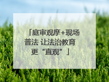 庭审观摩+现场普法 让法治教育更“直观”