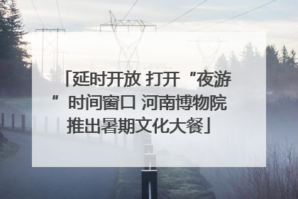 延时开放 打开“夜游”时间窗口 河南博物院推出暑期文化大餐