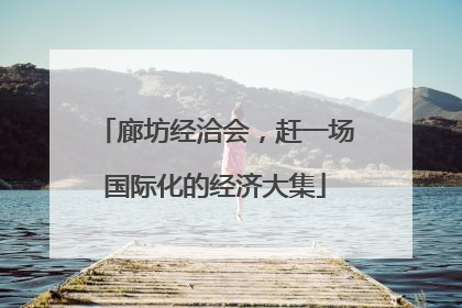 廊坊经洽会，赶一场国际化的经济大集