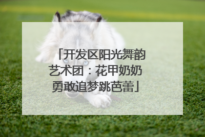 开发区阳光舞韵艺术团：花甲奶奶勇敢追梦跳芭蕾