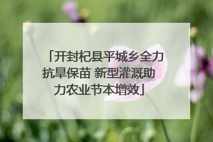 开封杞县平城乡全力抗旱保苗 新型灌溉助力农业节本增效