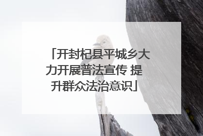 开封杞县平城乡大力开展普法宣传 提升群众法治意识